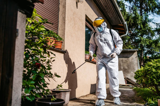Best Flea Control Services  in Bonita Springs, FL