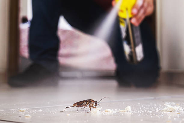Trusted Bonita Springs, FL Pest Control Experts